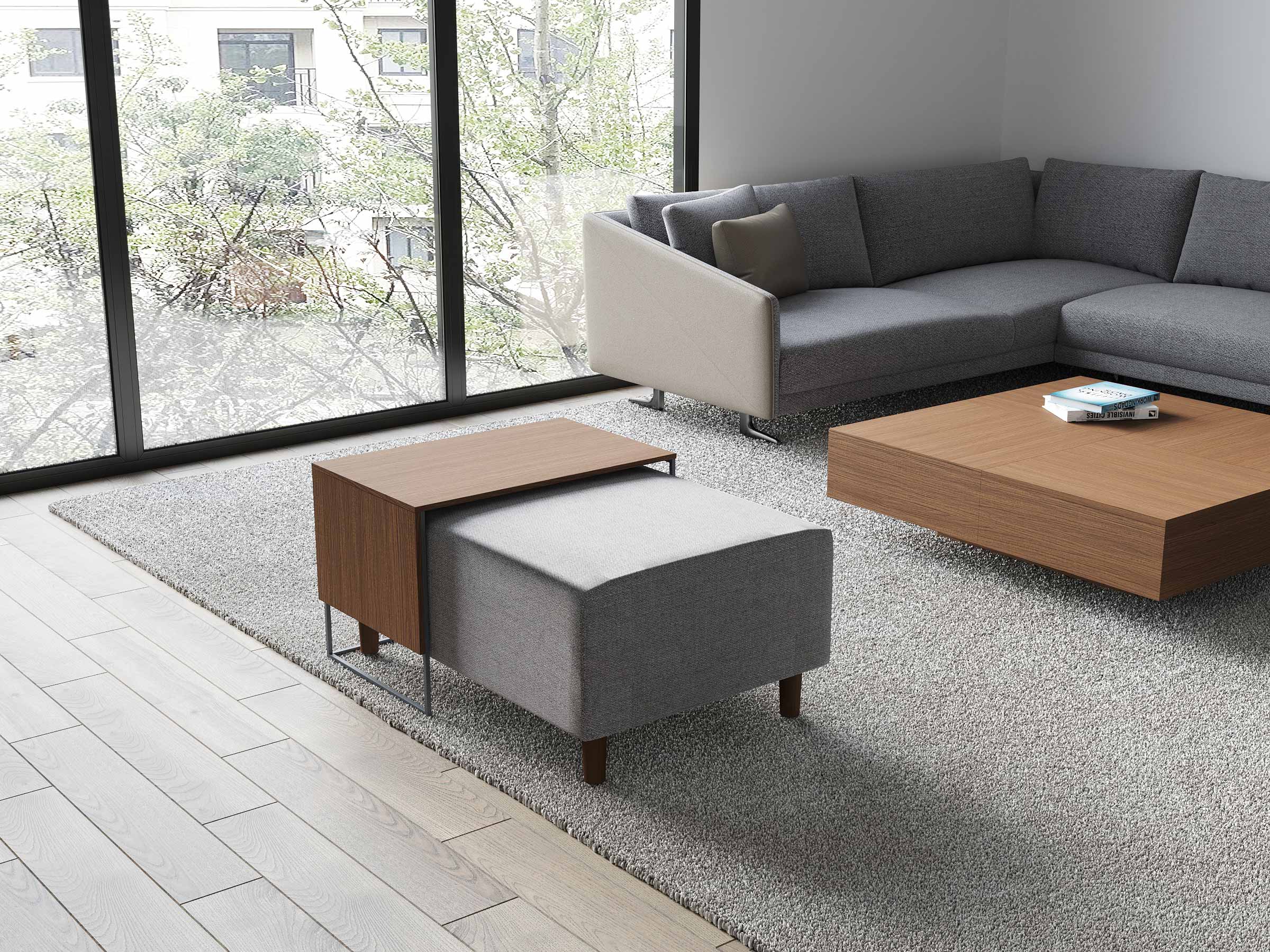 Duo Pouf Coffee Table - Image 5